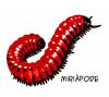 Avatar de mredon6