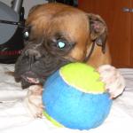 Avatar de Libi