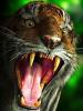 Avatar de pEiO2489