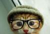 Avatar de deirsame