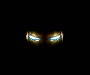 Avatar de soroza
