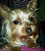 Avatar de lauranerea