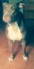 Avatar de JosittoO