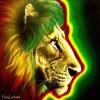 Avatar de EnriqueMF15