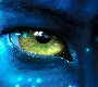 Avatar de pak18