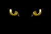 Avatar de hanche
