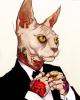 Avatar de DaseR4