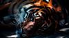 Avatar de BoundFlame