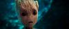 Avatar de Dbarmer