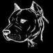 Avatar de Cataphractarius