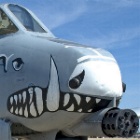 Avatar de A10Warthog