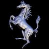 Avatar de ricmarher