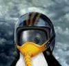 Avatar de alphalinux