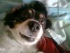 Avatar de jhonny9972