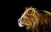 Avatar de LeonDeAcero