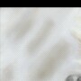 Avatar de Hagen.z