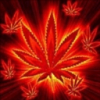 Avatar de SOYNUEVOENESTO