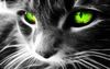Avatar de klyster