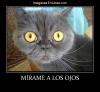 Avatar de xfran