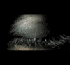 Avatar de Voodoo129