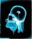 Avatar de jmf09