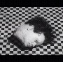 Avatar de EraserHead
