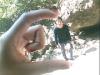 Avatar de david0612