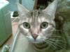Avatar de CONCHITA54