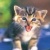 Avatar de jamesfont