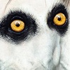Avatar de marticdp